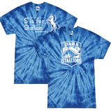 Dana: Blue Tie Dye